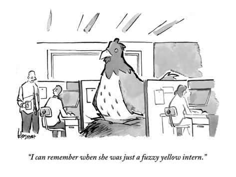 john-klossner-i-can-remember-when-she-was-just-a-fuzzy-yellow-intern-new-yorker-cartoon