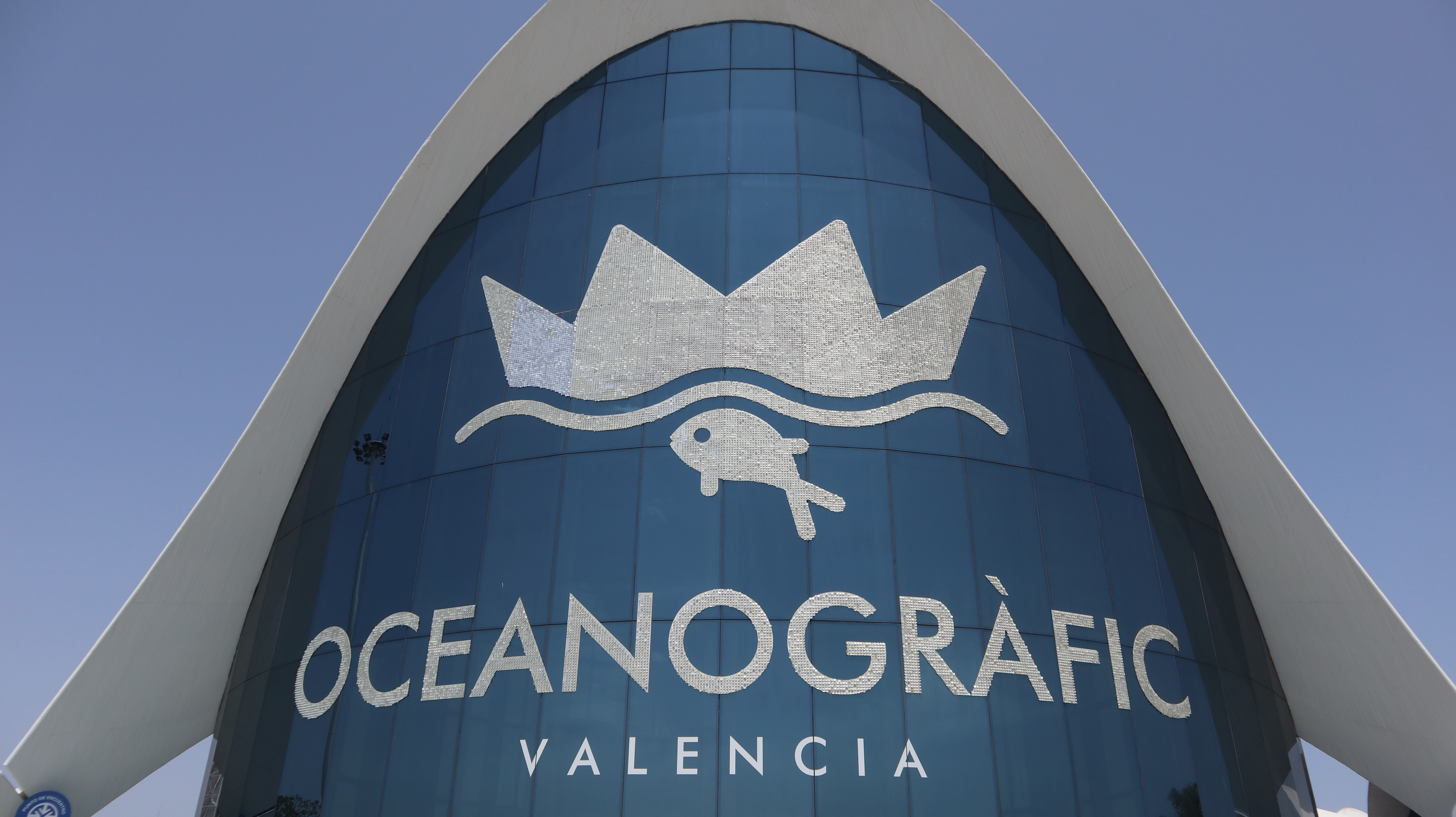 réaliser votre stage à Valencia - Oceanografic